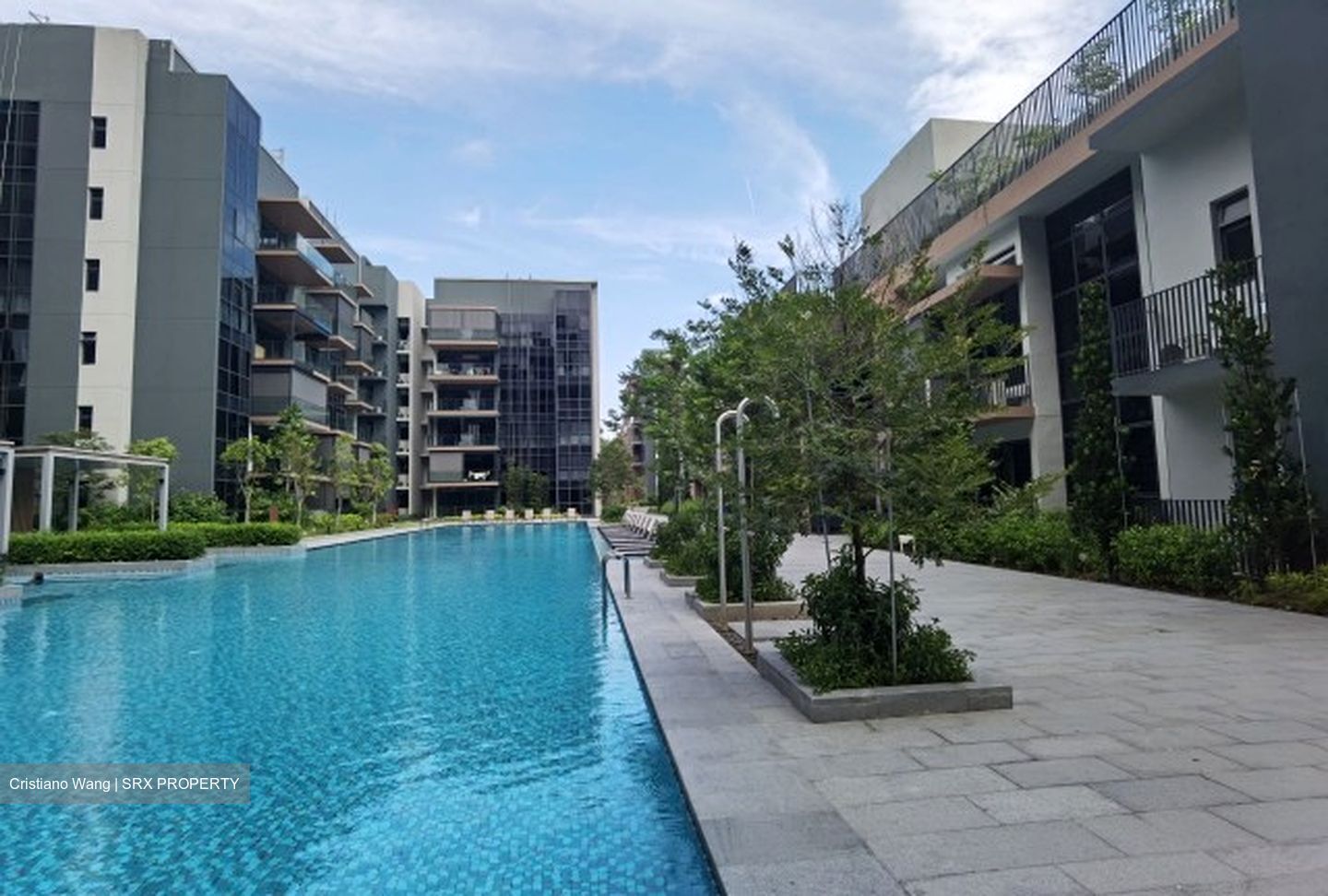 Fourth Avenue Residences (D10), Apartment #629260941